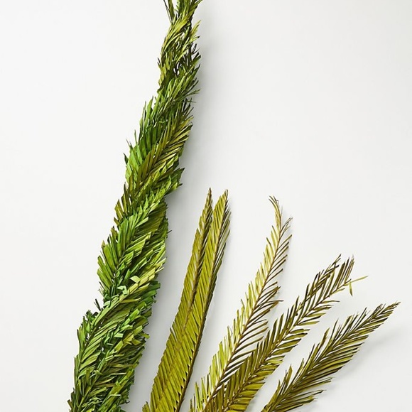 Anthropologie Twisted Dried Coconut Palm Fronds